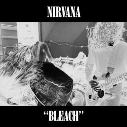 Bleach album art