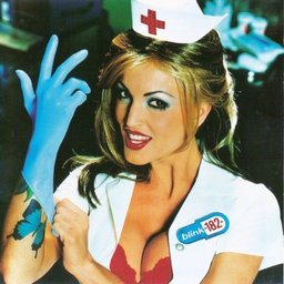 Enema of the State album art