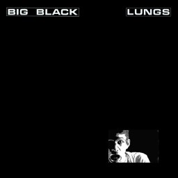 Lungs album art