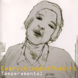 Temperamental album art