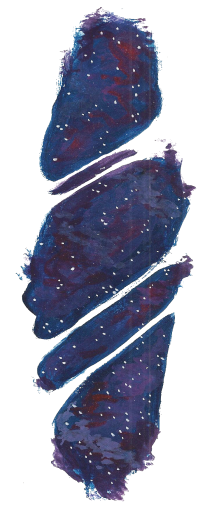 The ripped dimensional fabric of the Multiverse portal